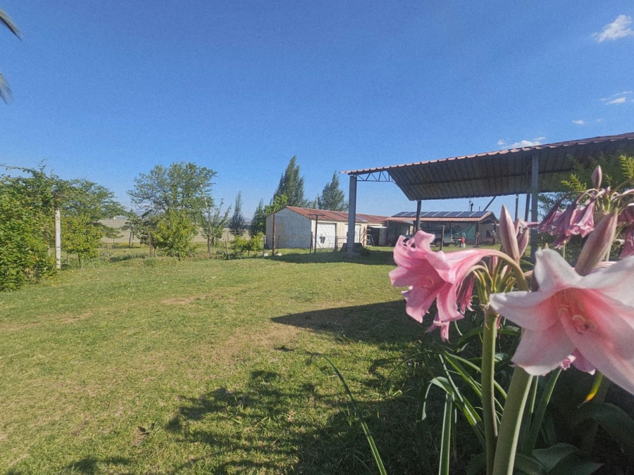 17 Bedroom Property for Sale in Ladybrand Free State